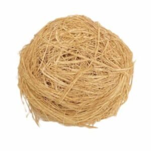 Koin koin (Local sponges)