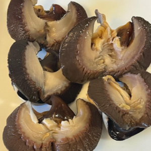 Ojatiya Frozen Snails